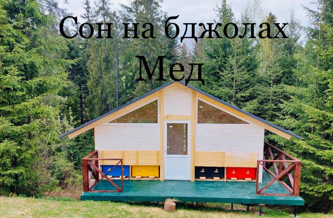 Danrock Apartment Yablunytsya Exterior photo